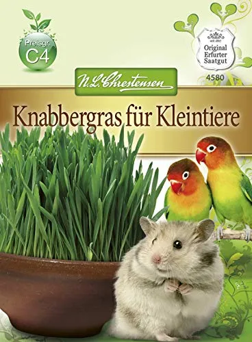 N.L. Chrestensen 4580 Knabbergras für Kleintiere (Kleintiersaaten)