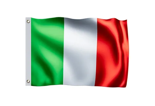 Flaggen & Windsäcke Grün von Monzana