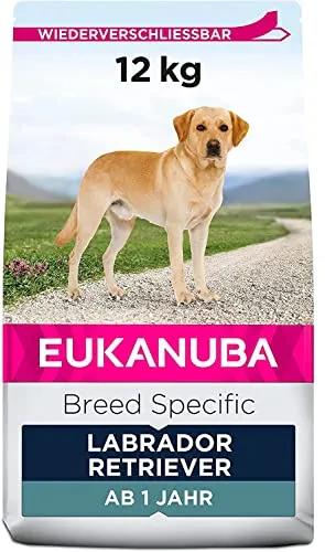 Eukanuba Breed Specific Labrador Retriever Trockenfutter - Premium Hundefutter mit Huhn, 12 kg - Hundefutter speziell für Labrador Retriever, unterstützt gesundes Gewicht und Gelenke mit L-Carnitin und Glucosamin. Für ein glänzendes Fell und gesunde Zähne.