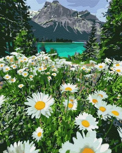 Malen nach Zahlen auf Keilrahmen Eine Berglandschaft mit Kamille