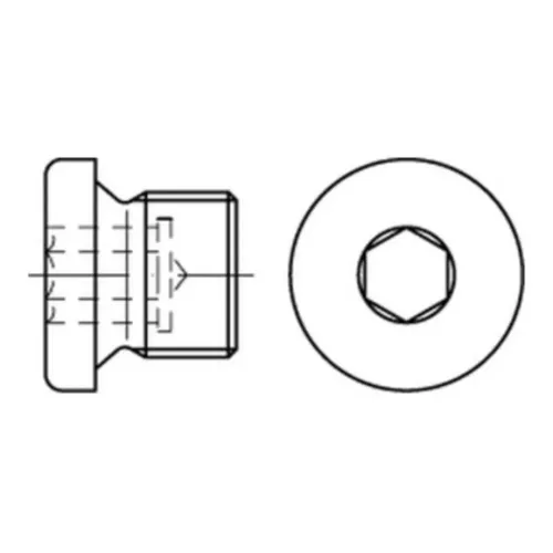 Reyher 908 Verschluss-Schraube 30x1,5 (10 Stück)