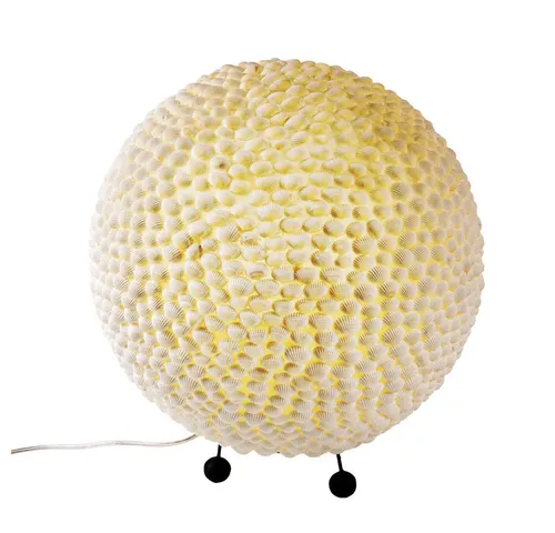 Muschel Tisch Lampe von ETC Shop