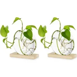 Pflanzer Glas Vase Holz Hydroponik Stecklinge Licht 2 - Elegante Glas Vase mit Holzrahmen für Hydroponik-Stecklinge. Kompakt und dekorativ, ideal für kleine Räume. Das Set beinhaltet alles für eine frische grüne Oase auf deiner Fensterbank.