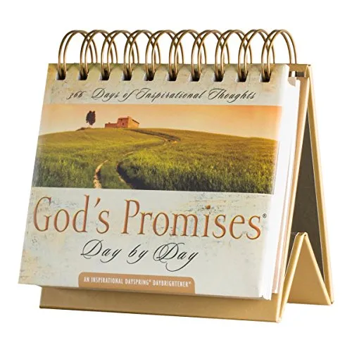 DaySpring 7872 Ewiger Kalender God's Promises Day by Day: 365 Days of Inspriational Thoughts – An Inspirational DayBrightener
