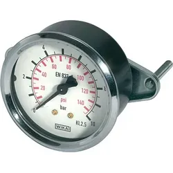 Riegler Standardmanometer, Dreikantfrontring, G 1/4 hinten, 0 - 6,0 bar, Ø 50