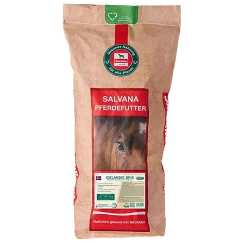 Salvana Mineralbrix 25 kg (2,48 EUR/kg)