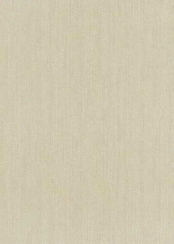 Erismann Vliestapete 6309-02 Paradiso 2 uni beige 10,05 x 0,53 m