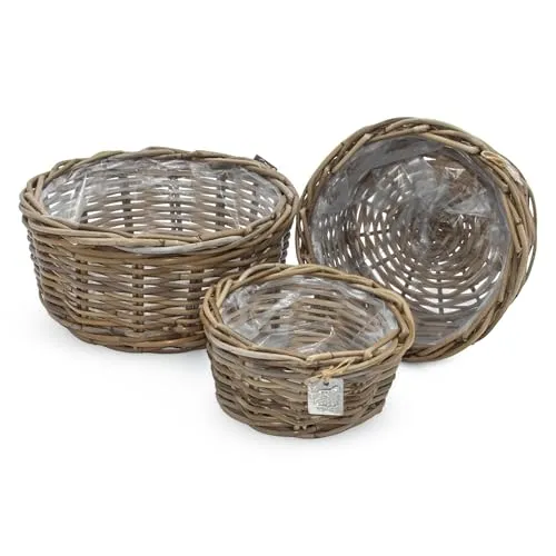 Pflanzschale aus Rattan im 3er Set von Spetebo