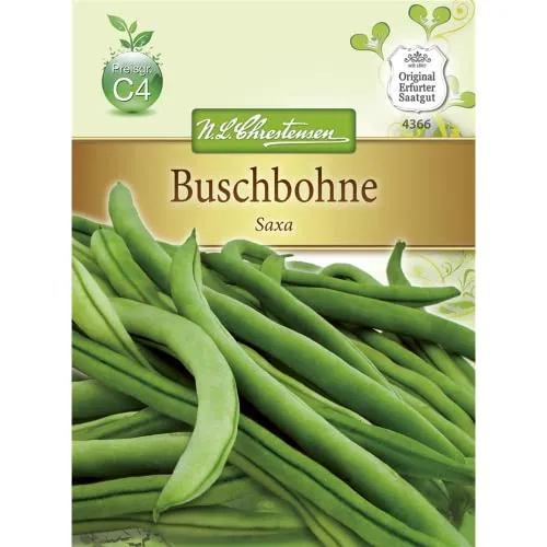 Chrestensen Buschbohne 'Saxa' Saatgut