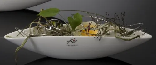 Geschirr Weiß von Sandra Rich