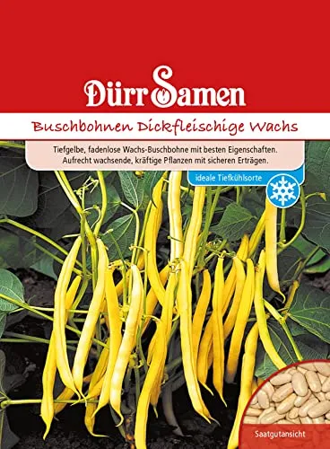Produktbild Buschbohnen Samen Dickfleischige Wachs Bohnensamen Gelbe Bohnen ca 150 Korn Saatgut Gemüse Garten Hochbeet Kübel Dürr Samen