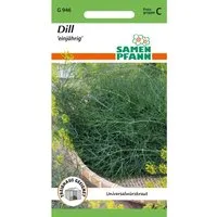 SAMEN PFANN Dill Kleinpackung