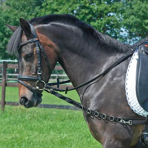 BUSSE Schwarz WB Ausbindezügel Oesen Elastik