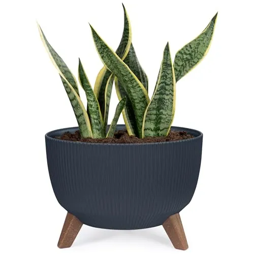 KONZEPT Pflanzenschale mit Füßen 33 cm Blumentopf Kunststoff Grau, Pflanzkübel Groß Außen, UV-Beständig, Wetterfest, Mit Wasserablauf, Perfekt für Solarbrunnen & Miniteich