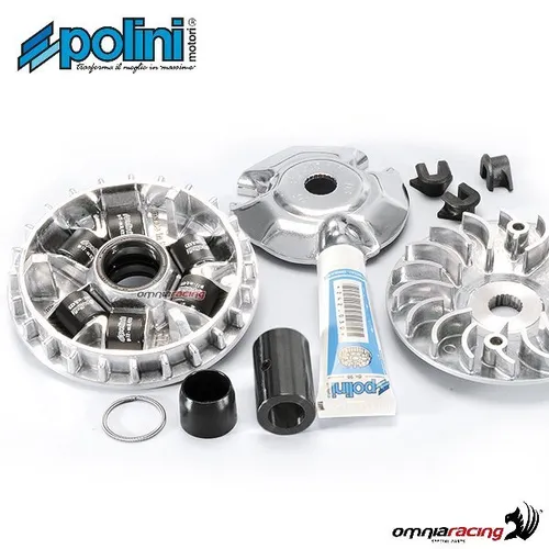 Polini Hochgeschwindigkeitsvariator für Piaggio Liberty 125 iGET 3V ie E4