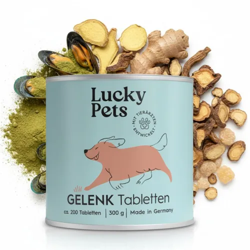 Lucky Pets Gelenktabletten für Hunde – Beweglichkeit & Mobilität unterstützen - Gelenktabletten für Hunde mit einer speziellen Formel aus pflanzlichen Komponenten und wichtigen Bausteinen für gesunde Gelenke. Einfach zu dosieren, hohe Akzeptanz und entwickelt in Deutschland für optimale Qualität.
