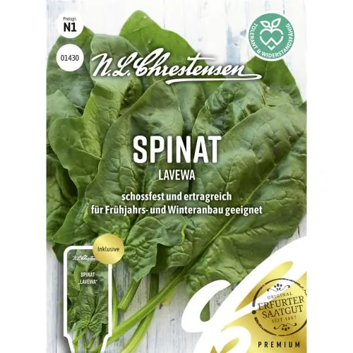 Spinat Lavewa, schossfest und ertragreich, Samen