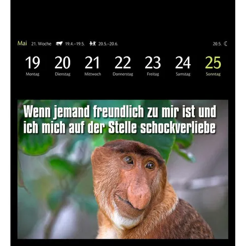 Harenberg Animal Memes 2025 Kalender mit 53 Postkarten