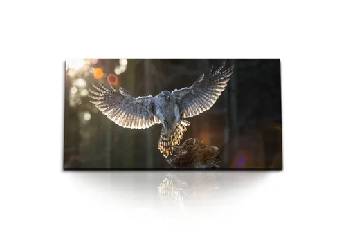 Sinus Art Leinwandbild Kunstdruck Bilder 120x60cm Habicht Raubvogel Greifvogel Natur Tierfoto, (1 St)