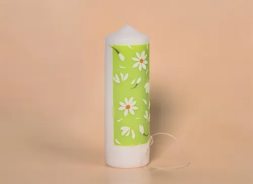 KNORR prandell 218301042 Wachsplatte17,5x8cm apfelgrün 2er