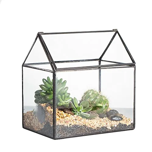 NCYP 15,5x11x16 cm Kleines Geometrisches Terrarium, Haus-Form, Glas, schließbar, Gewächshäuschen für Sukkulenten Moos Farn, mit Klappdeckel (ohne Pflanzen)
