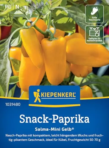 Kiepenkerl Paprikasamen Salma-Mini Gelb® 1031480 – Nasch Paprika - kompakter Wuchs - fruchtig- pikante Früchte - Saatgut, Samen Gemüse, Gemüsepflanzen