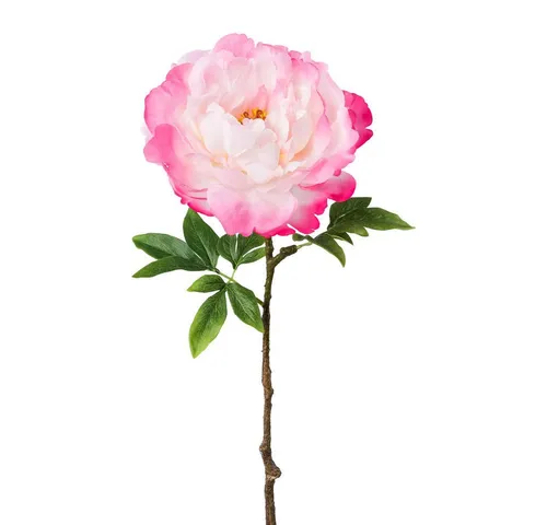 Kunstblume Künstliche Peonie ca. 66cm. XXL Kunstblume Pfingstrose Bauernrose, Gasper, Höhe 66.00 cm