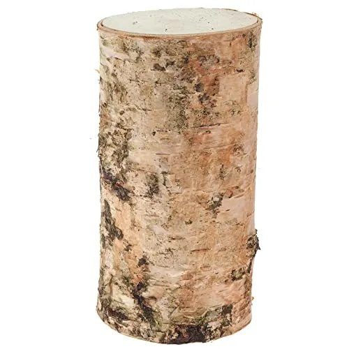 matches21 Birkenstämmchen Baumstamm gerader Schnitt - Holzstamm Naturmaterial DIY Bastelmaterial - je 1 STK. 5 x 10 cm
