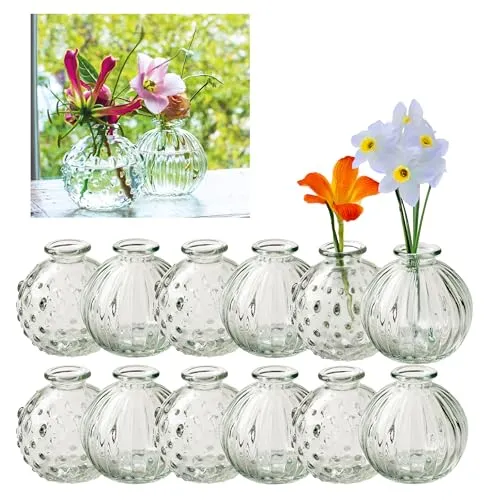 Kleine Vasen aus Glas Vintage – 12 stilvolle Tischvasen - Vasen für Tischdeko in Vintage-Design, ideal für Gastronomie und Hochzeiten. Wählen Sie aus verschiedenen Modellen und Größen, perfekt für jede Feierlichkeit.