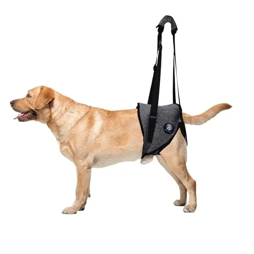 KAJILE Hundehebegeschirr,Hunde Stützgeschirr für Hintergliedmaßen und Hüfte,Haustier Erholung Walking Training,Hebegurt für Ältere Verletzte Behinderte Hunde (Grau,XL)