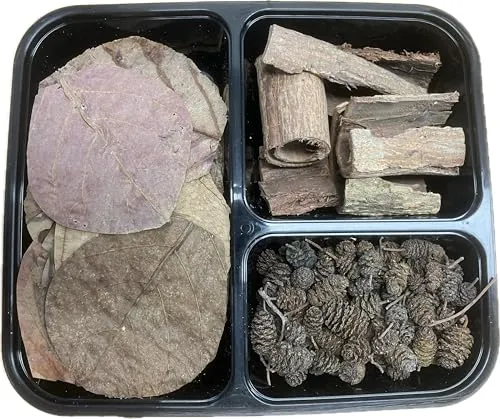 Aquarium 150er Set mit Tanninen für gesundes Wasser - Erlenzapfen Seemandelbaumblätter Seemandelbaumrinde - Catappa-Leaves Naturprodukte