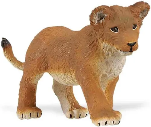 Safari