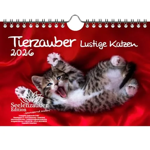 Tierzauber lustige Katzen DIN A5 Kalender für 2026 Lustige Katzen - Seelenzauber
