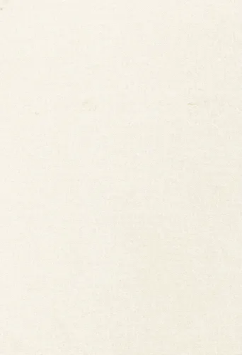 Biberna Kissenbezug 40x60 cm 2 Stück Feinjersey 100% Baumwolle, Creme