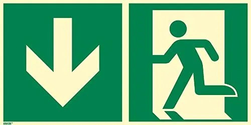 Notausgang abwärts, Aluminium, langnachleuchtend 55/8 mcd, 300 x 150 mm gemäß ASR A1.3 / ISO 7010 E001, Rettungszeichen Schild, 30 x 15 cm