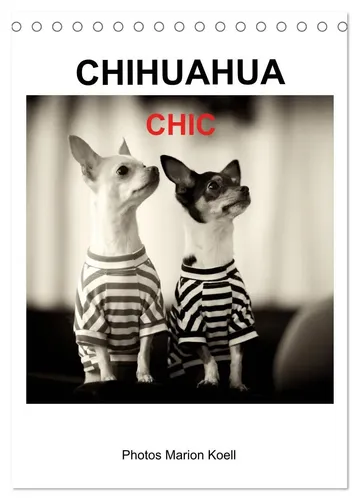 Marion Koell | CHIHUAHUA CHIC Photos Marion Koell (Tischkalender 2026 DIN A5...