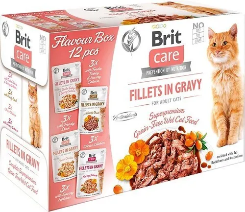 Brit Katzenfutter von Brit