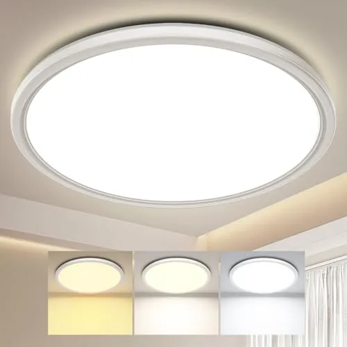 Swoieltr Deckenlampe LED Ultradünne Deckenleuchte mit Fernbedienung Dimmbar (3000K-6500K), 24W 2800LM, IP44 | Ø30cm (2,4cm) | Küchenlampe, Deckenleuchten Für Wohnzimmer, Schlafzimmer, Badezimmer