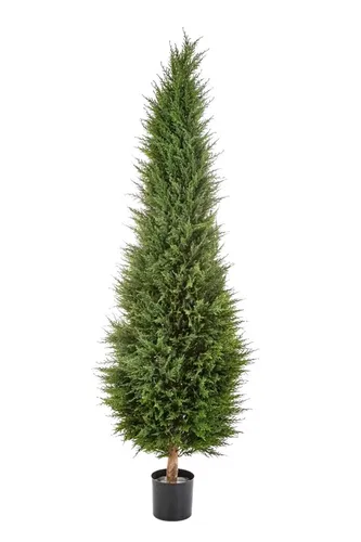 Kunstbaum Künstliche Zypresse - Philip, 180 cm, aplanta