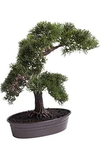 Kunstbonsai Cedern Bonsai Ceder - Botanic-Haus, Höhe 42 cm - Kunstbonsai mit modernem Design, pflegeleicht und ideal für asiatische Dekoration ohne Gießen oder Nachschneiden.