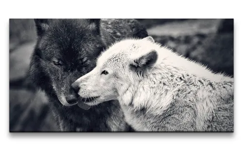 Sinus Art Leinwandbild, (1 St)