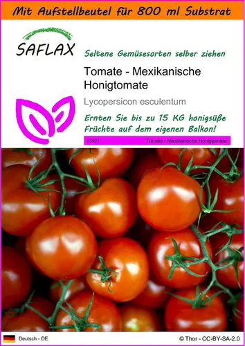 SAFLAX Gemüsesamen SAFLAX - Garden in the bag - Tomate - Mexikanische Honigtomate