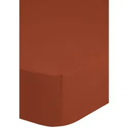 Mid.you Spannbetttuch Hip in Terracotta, 160x200 cm - Bettlaken aus Oeko-Tex® Standard 100 Baumwolle, bügelleicht und klimaregulierend, ideal für jede Jahreszeit, sorgt für perfekten Sitz und hohen Schlafkomfort.