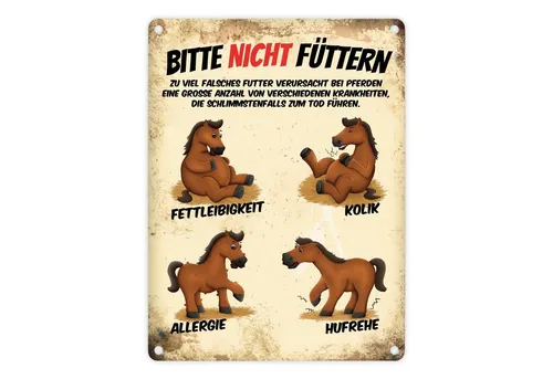 speecheese Metallschild Metallschild mit Pferde Motiv und Spruch: Bitte nicht füttern