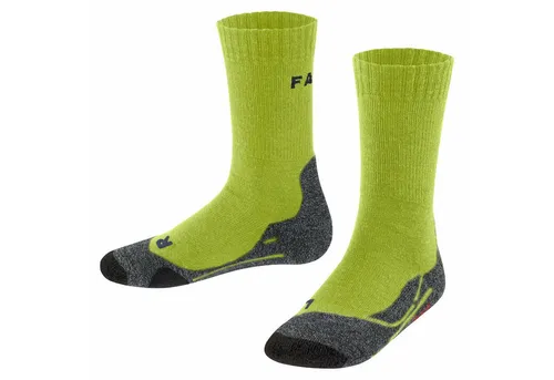 Unterwäsche & Socken Grün von FALKE