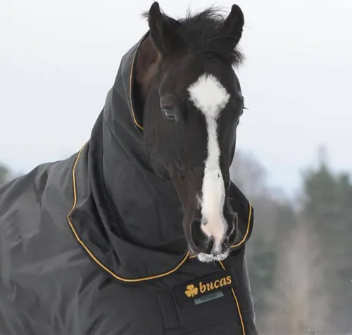 Kerbl Bucas Irish Combi Neck 115/XS Black/Gold Halsteil von Bucas