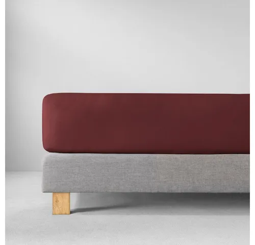 Estella Zwirnjersey Bettlaken mit Gummizug - Hochwertiges Spannbetttuch aus 97% Baumwolle, temperaturausgleichend und langlebig, ideal für Wasser- und Boxspringbetten bis 40 cm Höhe.