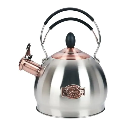 Edelstahl Pfeifkessel 2.6L mit Hitzebeständigem Griff in silber von Lazneyru