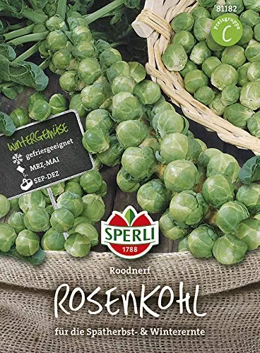 Sperli 81182 Rosenkohl Roodnerf (Rosenkohlsamen)