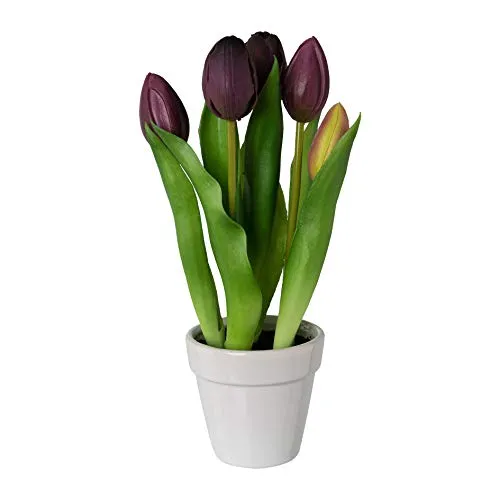 creativ home Kunstpflanze, Blume TULPE 25cm. Im Keramiktopf weiß. REAL Touch Tulpen getopft. Lila, violett, Purple
